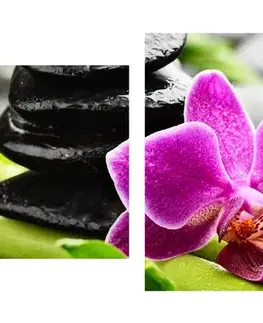 Obrazy Feng Shui 5-dielny obraz wellness zátišie s fialovou orchideou