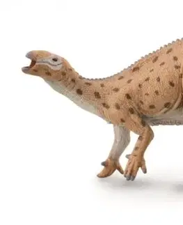 Hračky - figprky zvierat MAC TOYS - Fukuisaurus