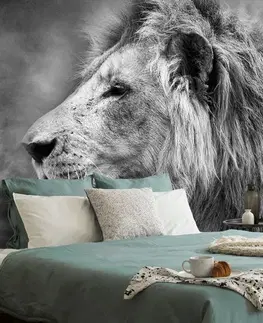 Samolepiace tapety Samolepiaca tapeta africký lev v čiernobielom prevedení