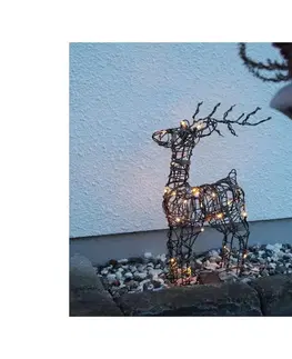 Vianočné dekorácie Eglo Eglo 411137 - LED Vonkajšia vianočná dekorácia VIXEN 24xLED/0,06W/3xAA IP44 