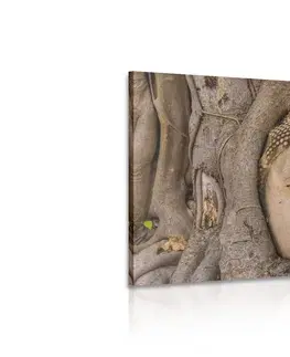 Obrazy Feng Shui Obraz Budhov posvätný figovník