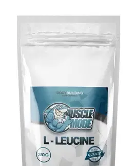 Leucín L-Leucine od Muscle Mode 500 g Neutrál