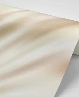 Jednofarebné tapety Tapeta luxusný satén