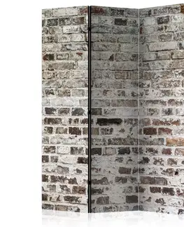 Paravány Paraván Walls of Time Dekorhome 135x172 cm (3-dielny)