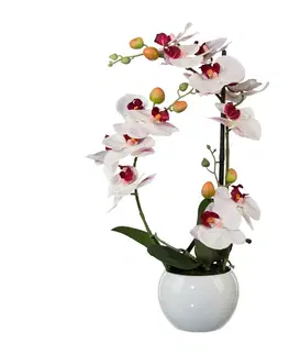 Kvety Umelá Orchidea v keramickom kvetináči biela, 42 cm 1118033-10