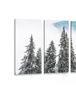 Obrazy prírody a krajiny 5-dielny obraz zasnežené borovicové stromy