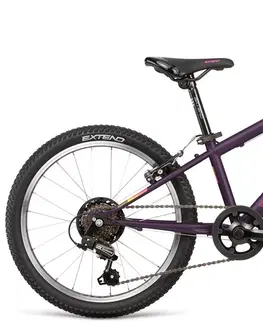 Bicykle Dema Roxie 20 20 inch. wheel