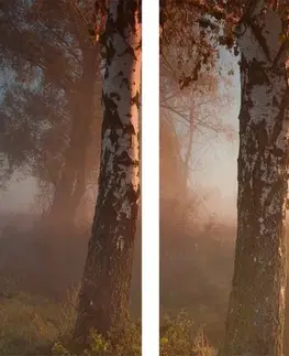 Obrazy prírody a krajiny 5-dielny obraz hmlistý jesenný les