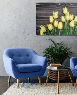 Obrazy kvetov Obraz očarujúce žlté tulipány na drevenom podklade
