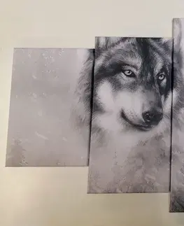 Čiernobiele obrazy 5-dielny obraz vlk v zasneženej krajine v čiernobielom prevedení
