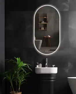 Kúpeľňa REA - Zrkadlo LED EGj 50x90 cm HOM-05524