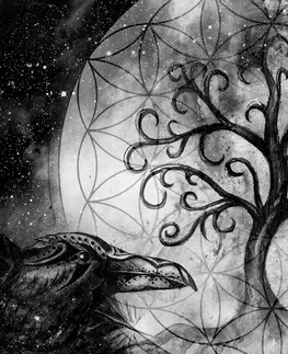 Čiernobiele obrazy Obraz magický strom života v čiernobielom prevedení