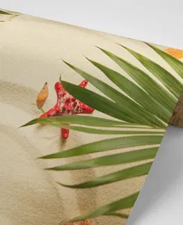 Samolepiace tapety Samolepiaca fototapeta mušle pod palmovými listami