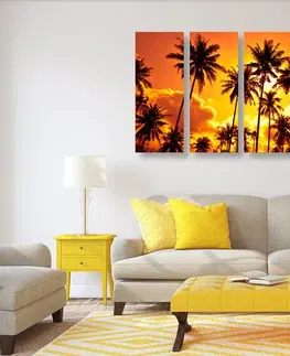 Obrazy prírody a krajiny 5-dielny obraz kokosové palmy na pláži