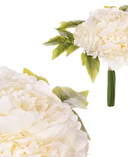 Kvety Pivonky v pugete, 9 kvetov, 20 x 28 x 20 cm, krémová