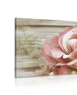 Vintage  a retro obrazy Obraz elegantná vintage ruža