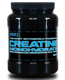 Kreatín monohydrát 100 % Creatine Monohydrate od Best Nutrition 500 g