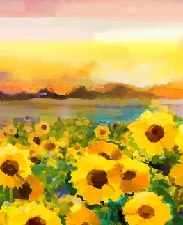 Obrazy kvetov Obraz slnečnicové pole