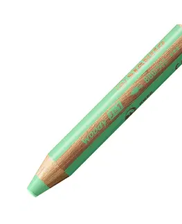 Hračky STABILO - Farbička, vodovka a voskovka - woody 3 v 1 - pastelová zelená