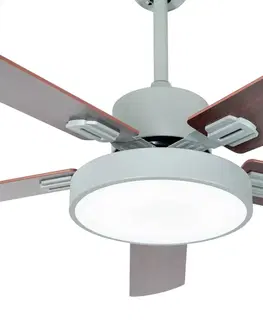Stropné ventilátory so svetlom Starluna Starluna Rivando stropný LED ventilátor, CCT sivá