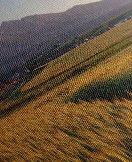 Obrazy prírody a krajiny Obraz západ slnka nad pšeničným poľom