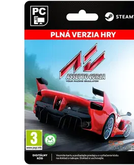 Hry na PC Assetto Corsa [Steam]