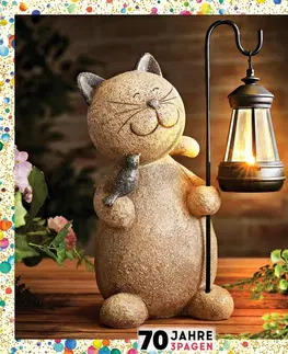 Drobné dekorácie a doplnky Dekorácia Mačka s lampášom