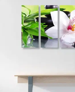 Obrazy Feng Shui 5-dielny obraz japonská orchidea