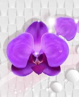 Abstraktné tapety Tapeta orchidea na abstraktnom pozadí