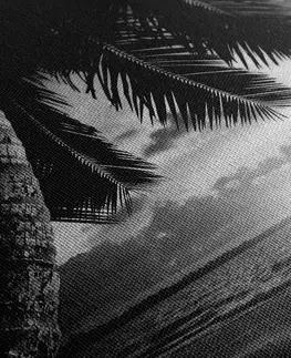 Čiernobiele obrazy Obraz východ slnka na karibskej pláži v čiernobielom prevedení