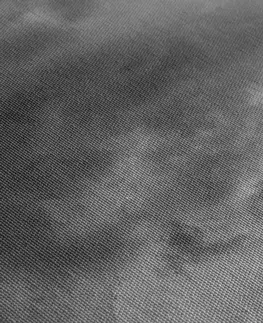 Čiernobiele obrazy Obraz čiernobiele osamelé stromy