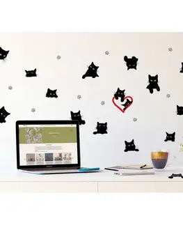 Samolepky na stenu Samolepiaca dekorácia Cats, 30 x 30 cm