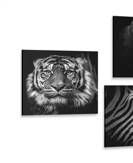 Zostavy obrazov Set obrazov zvieratá v čiernobielom štýle