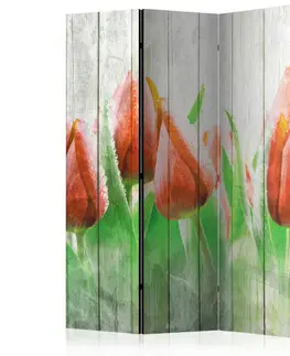 Paravány Paraván Red tulips on wood Dekorhome 135x172 cm (3-dielny)
