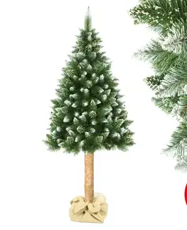 Vianočné dekorácie  Vianočný stromček na kmeni 180 cm borovica 