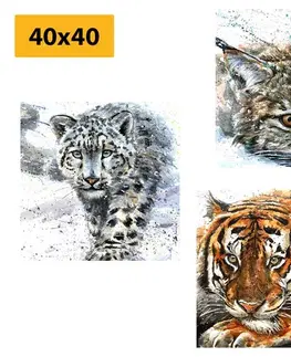 Zostavy obrazov Set obrazov zvieratá v nádhernom akvarelovom prevedení