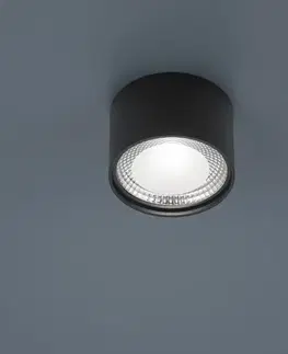 Stropné svietidlá Helestra Helestra Kari stropné LED svietidlo okrúhle čierna
