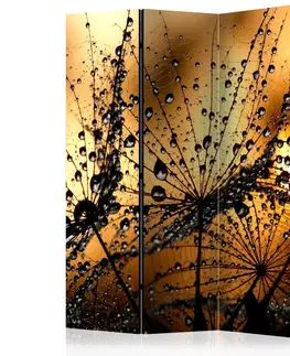 Paravány Paraván Dandelions in the Rain Dekorhome 135x172 cm (3-dielny)