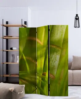 Paravány Paraván Bamboo - nature zen Dekorhome 225x172 cm (5-dielny)