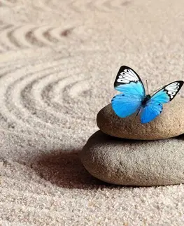 Samolepiace tapety Samolepiaca fototapeta modrý motýľ na Zen kameni
