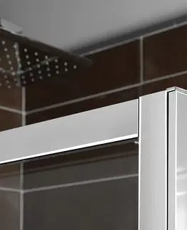 Sprchové dvere POLYSAN - DEEP obdĺžniková sprchová zástena 1300x750 L/P varianta,číre sklo MD1316MD3116