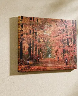 Drobné dekorácie a doplnky LED obraz "Jesenný les"