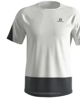 Pánske tričká Salomon Cross Run T-Shirt M XXL