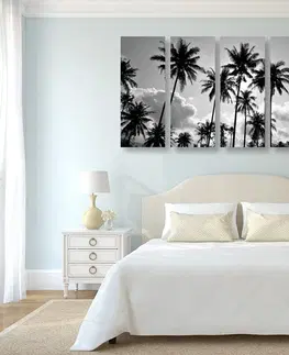 Čiernobiele obrazy 5-dielny obraz kokosové palmy na pláži v čiernobielom prevedení