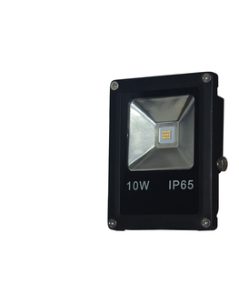 LED osvetlenie  LED Reflektor LED/10W/230V IP65 6000K 