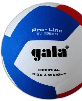 Volejbalové lopty GALA Pro Line BV5585S