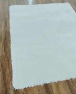 Koberce Shaggy koberec AMIDA Tempo Kondela 140x200 cm