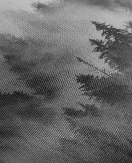 Čiernobiele obrazy Obraz hory v hmle v čiernobielom prevedení