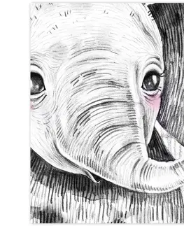Obrazy do detskej izby Obraz do detskej izby - Dekorácia so slonom