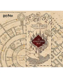 Tapety Detská fototapeta Harry Potter Marauders Map 252 x 182 cm, 4 diely